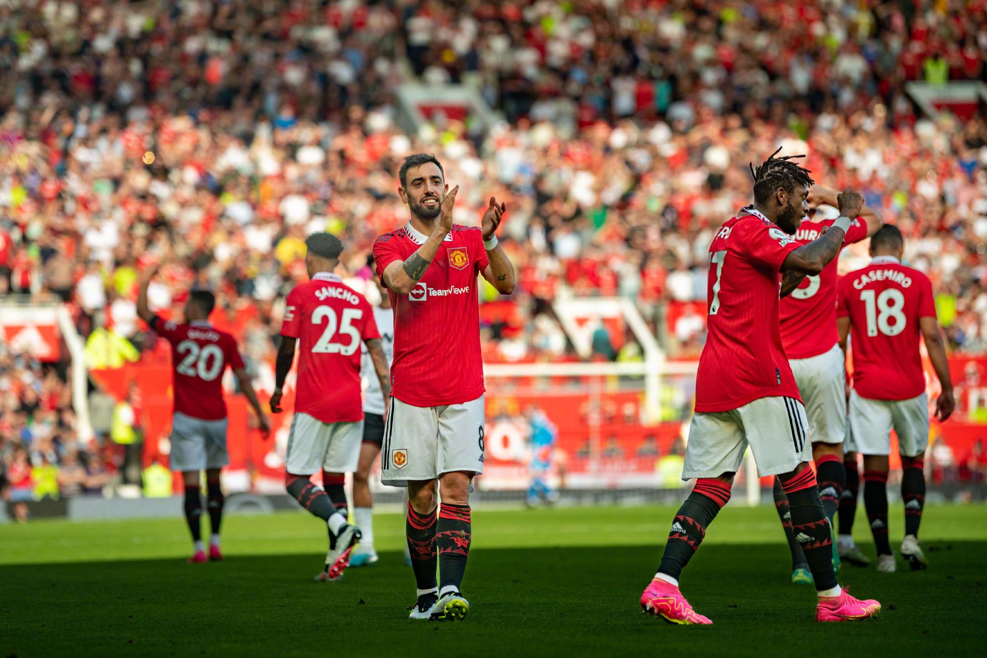 但可以肯定 但可以肯定